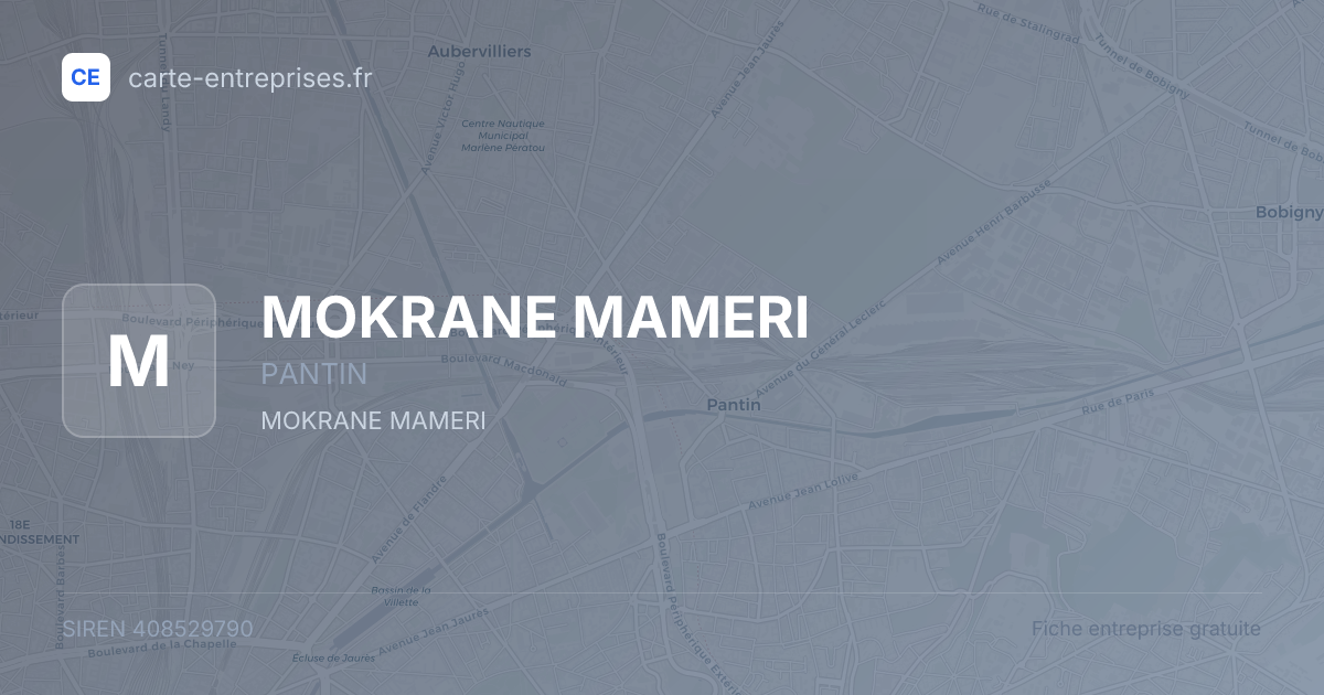 MOKRANE MAMERI — 408529790 — fiche entreprise