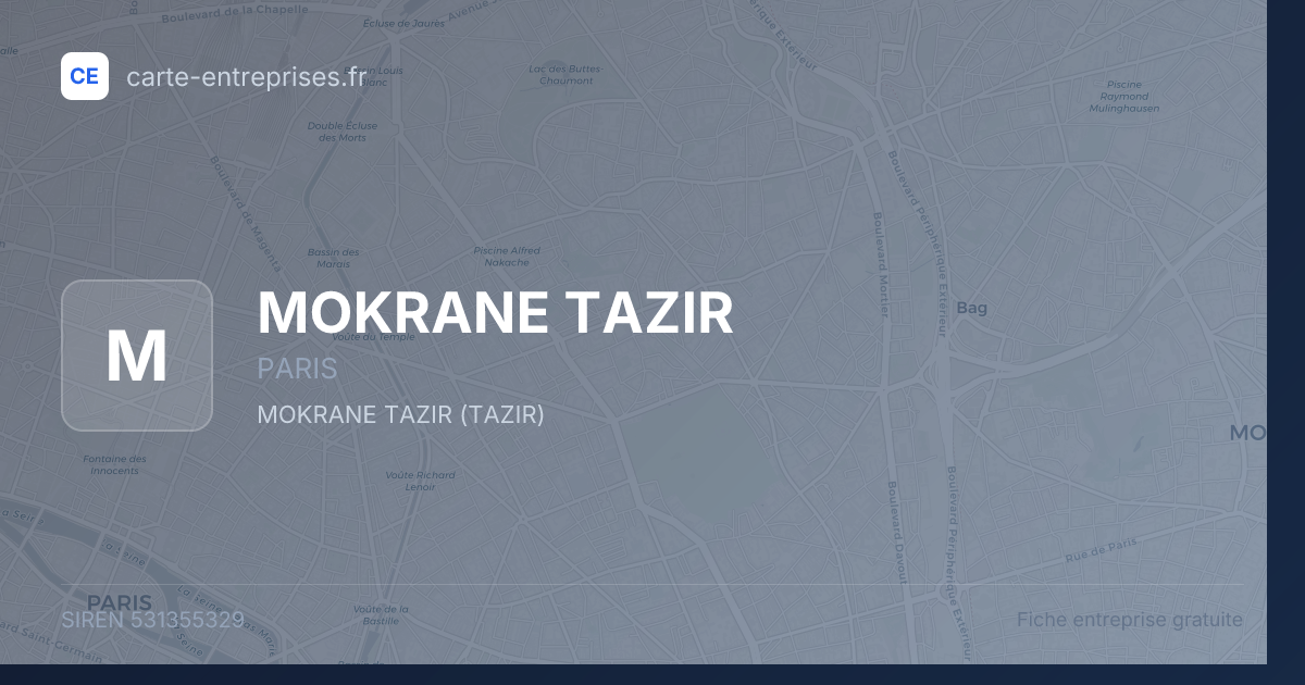 MOKRANE TAZIR — 531355329 — fiche entreprise