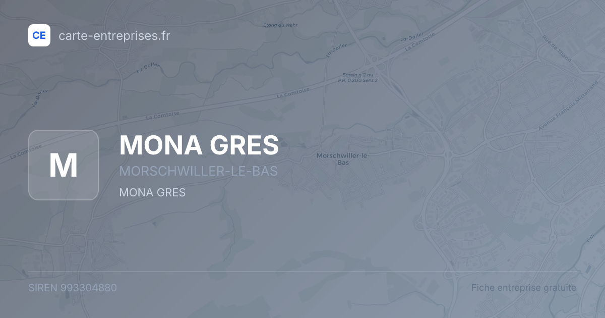 MONA GRES — 993304880 — fiche entreprise