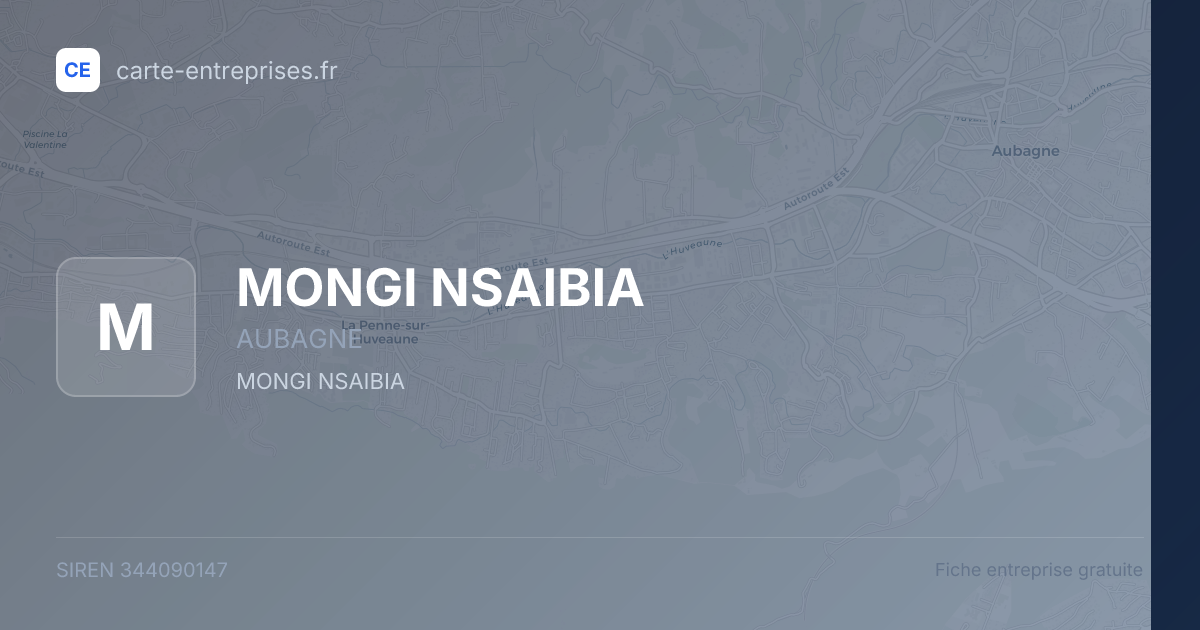 MONGI NSAIBIA — 344090147 — fiche entreprise