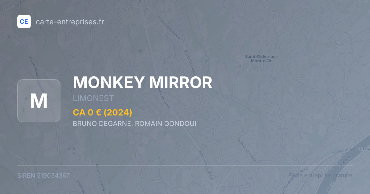 MONKEY MIRROR — 519034367 — fiche entreprise