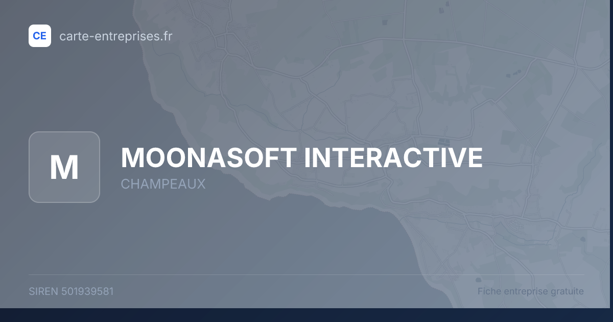 MOONASOFT INTERACTIVE — 501939581 — fiche entreprise