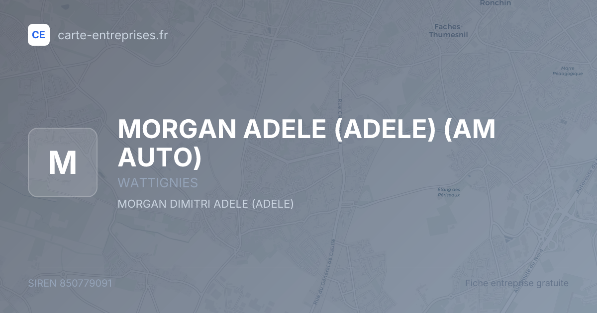 MORGAN ADELE (ADELE) (AM AUTO) — 850779091 — fiche entreprise