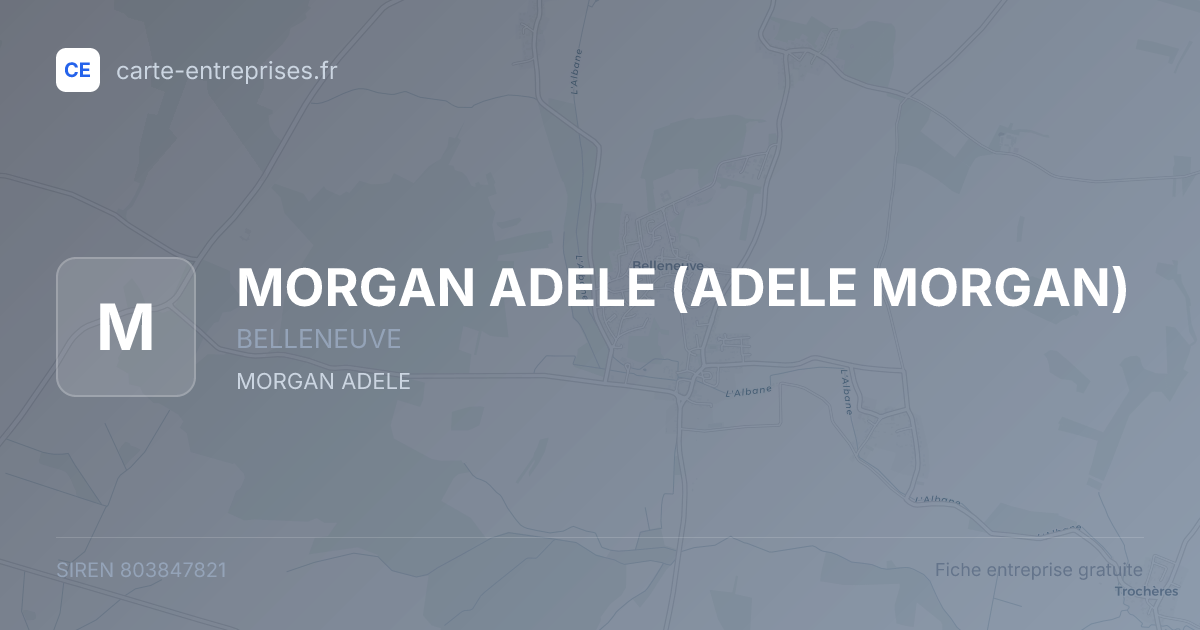 MORGAN ADELE (ADELE MORGAN) — 803847821 — fiche entreprise