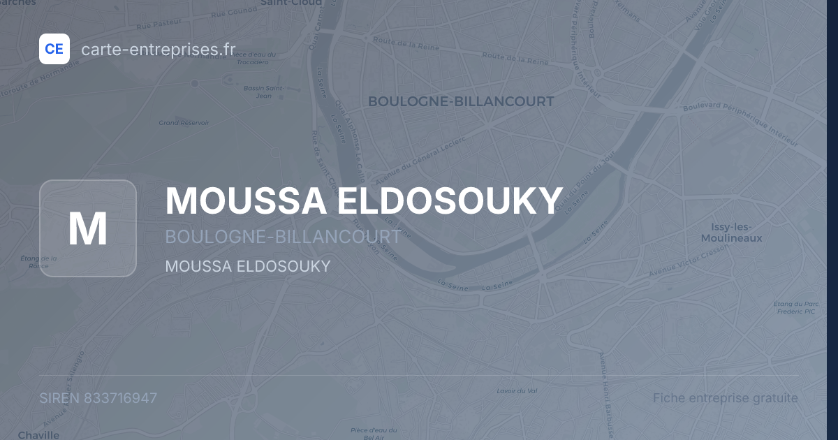 MOUSSA ELDOSOUKY — 833716947 — fiche entreprise