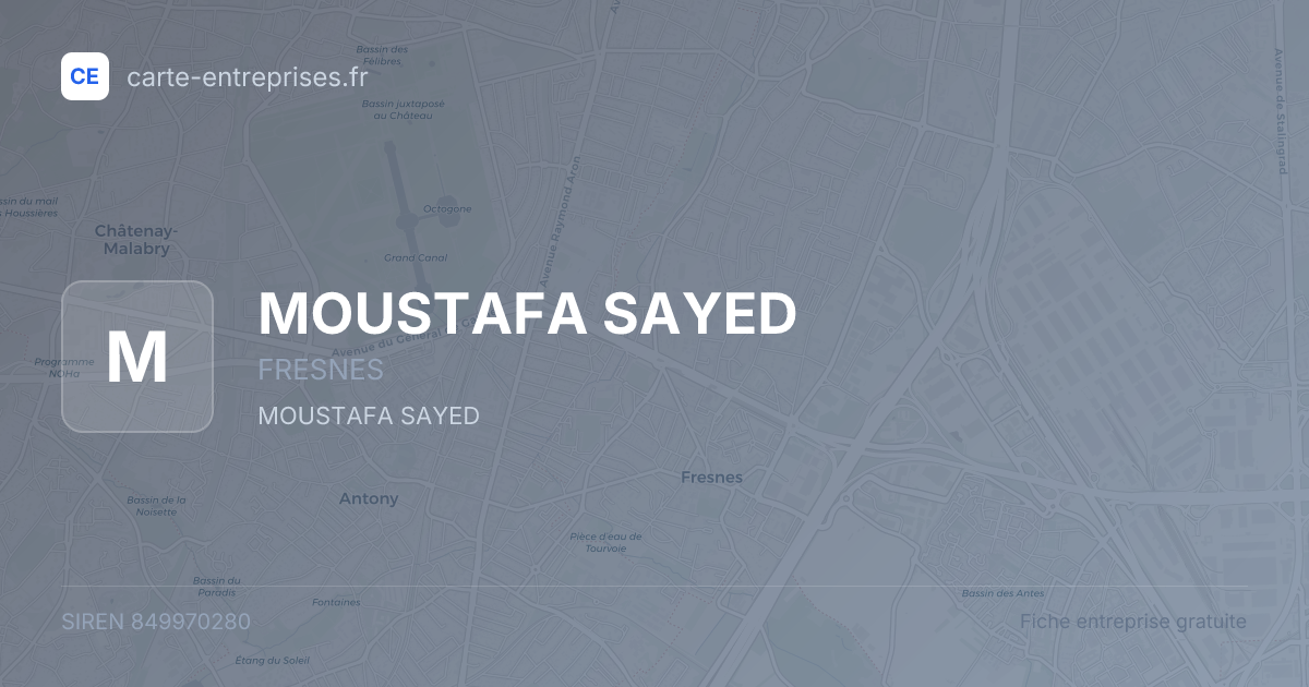 MOUSTAFA SAYED — 849970280 — fiche entreprise