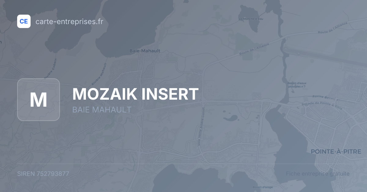 MOZAIK INSERT — 752793877 — fiche entreprise