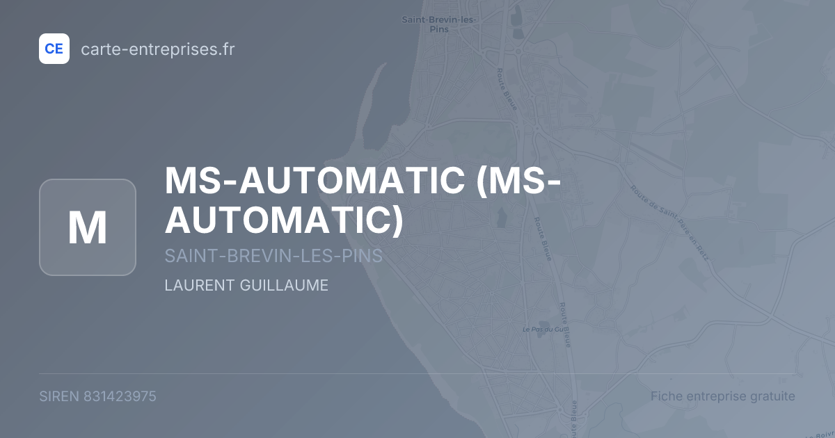 MS-AUTOMATIC — 831423975 — fiche entreprise
