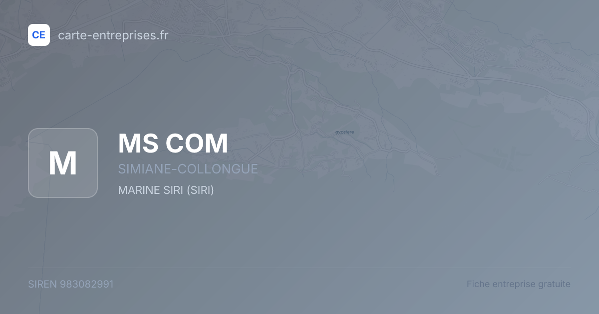 MS COM — 983082991 — fiche entreprise