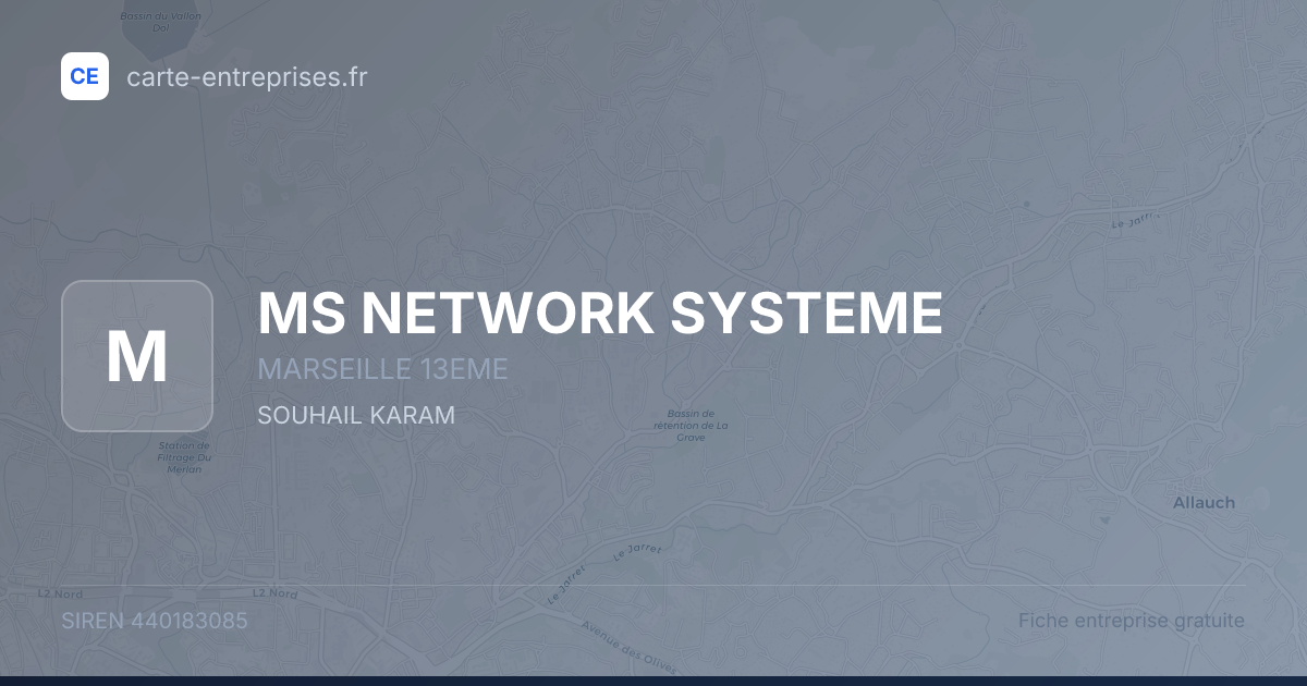 MS NETWORK SYSTEME — 440183085 — fiche entreprise