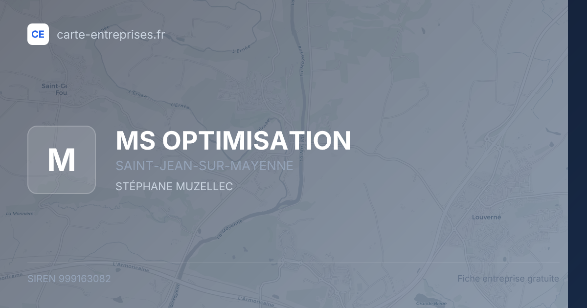 MS OPTIMISATION — 999163082 — fiche entreprise