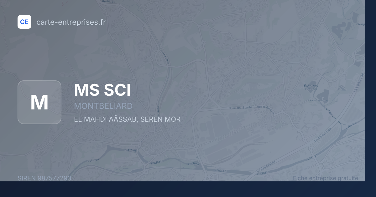 MS SCI — 987577293 — fiche entreprise
