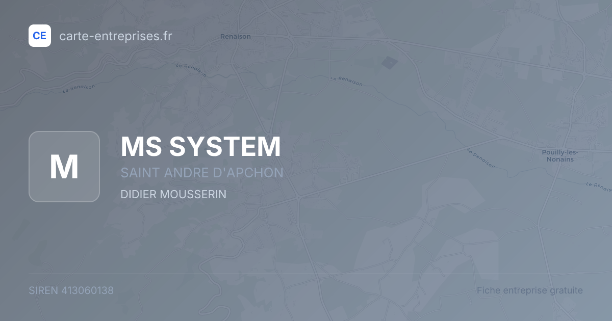 MS SYSTEM — 413060138 — fiche entreprise