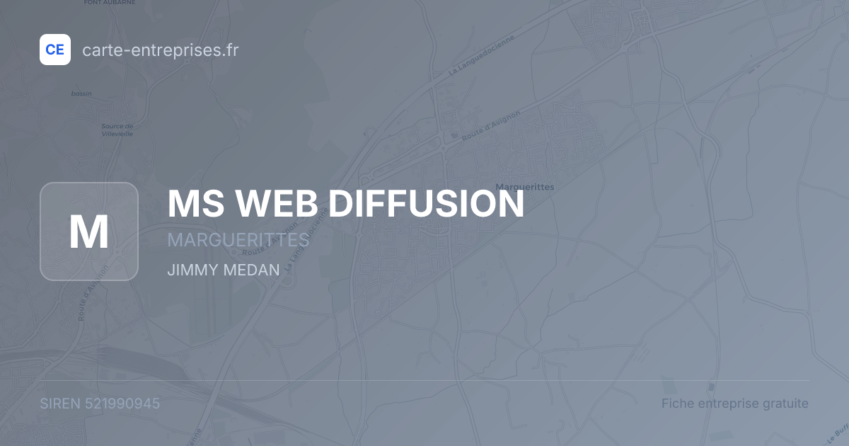 MS WEB DIFFUSION — 521990945 — fiche entreprise