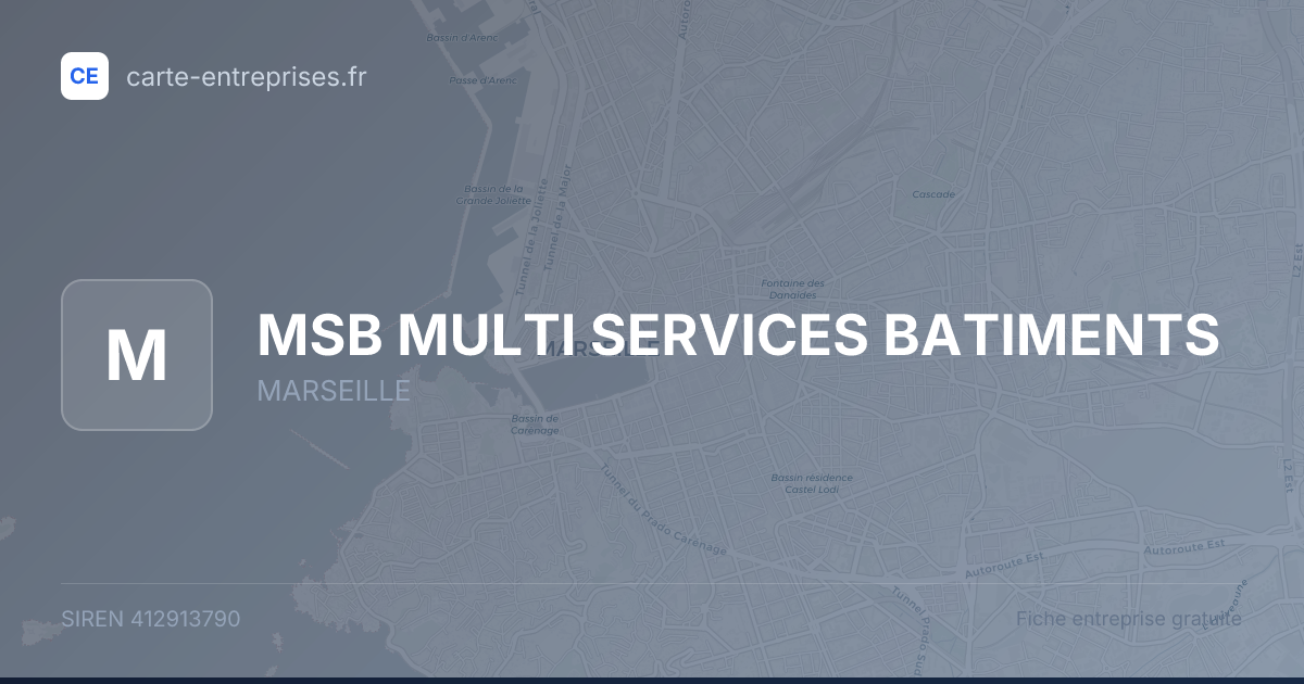 MSB MULTI SERVICES BATIMENTS — 412913790 — fiche entreprise