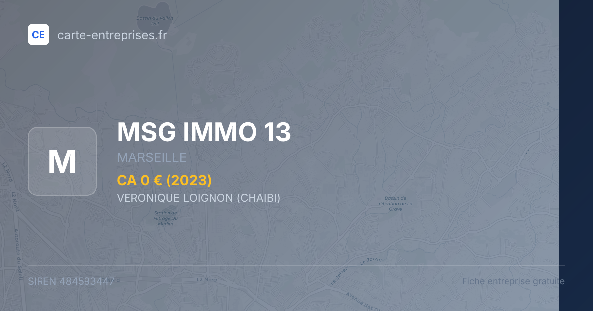 MSG IMMO 13 — 484593447 — fiche entreprise