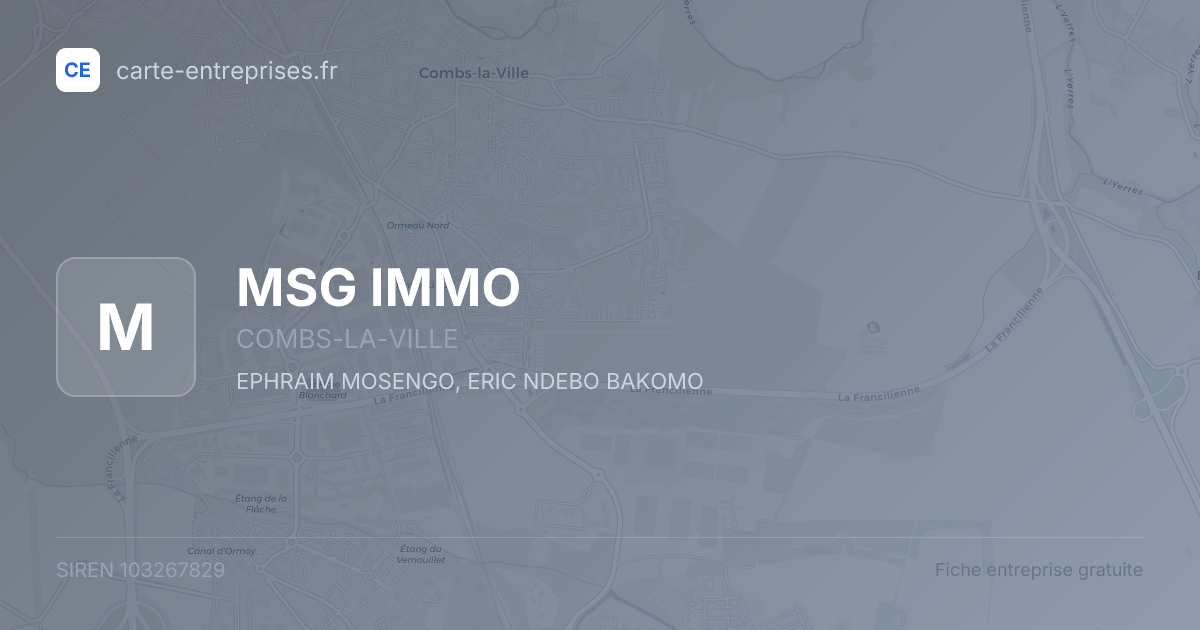 MSG IMMO — 103267829 — fiche entreprise