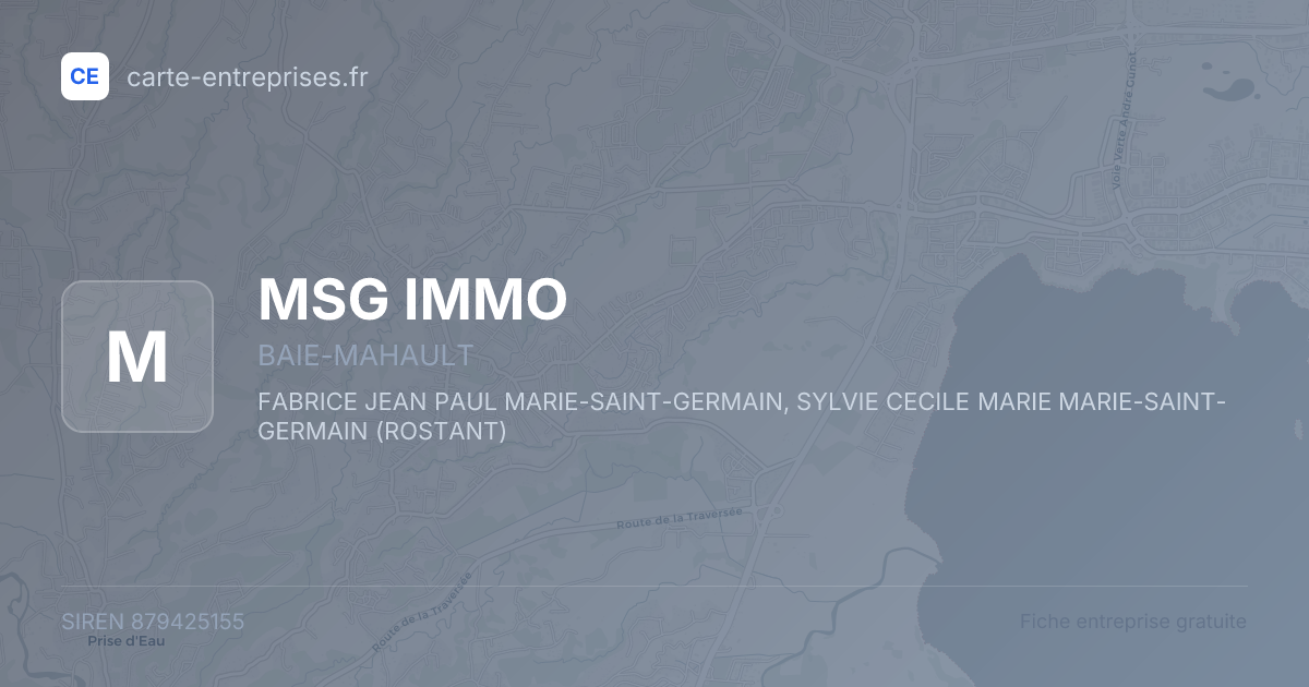 MSG IMMO — 879425155 — fiche entreprise
