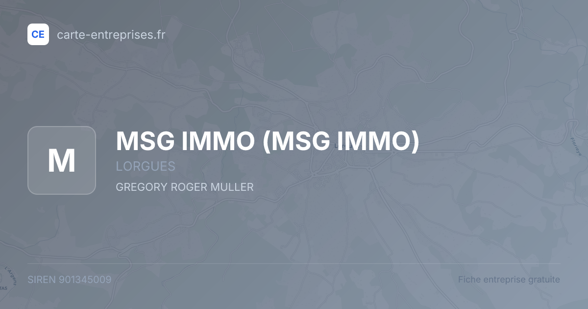 MSG IMMO — 901345009 — fiche entreprise