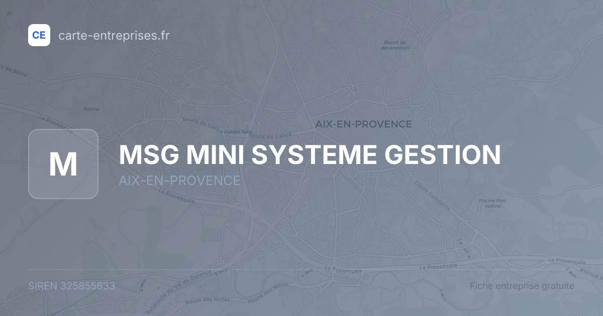 MSG MINI SYSTEME GESTION — 325855633 — fiche entreprise