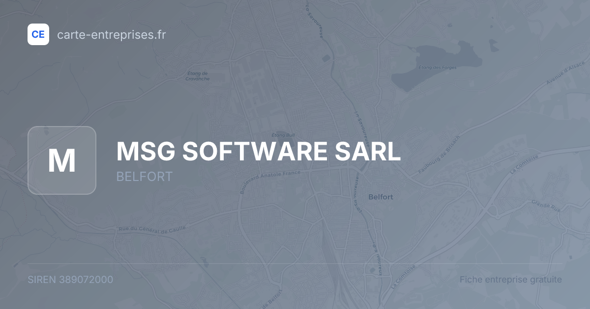 MSG SOFTWARE SARL — 389072000 — fiche entreprise