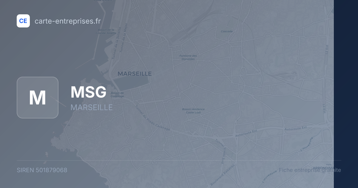 MSG — 501879068 — fiche entreprise
