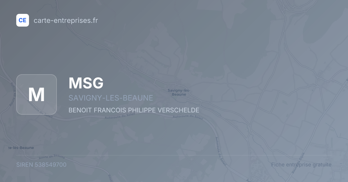 MSG — 538549700 — fiche entreprise