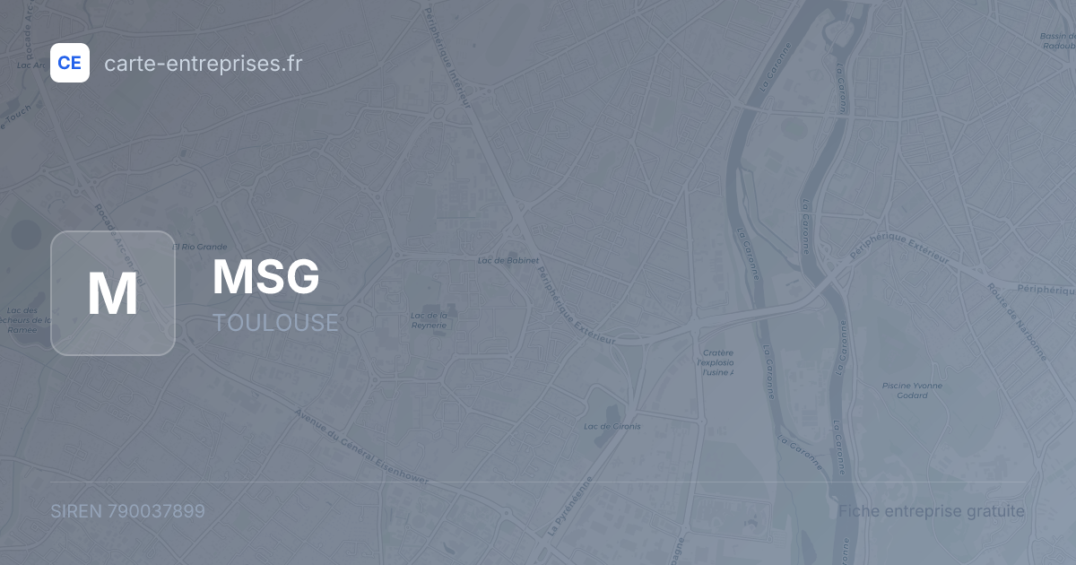 MSG — 790037899 — fiche entreprise