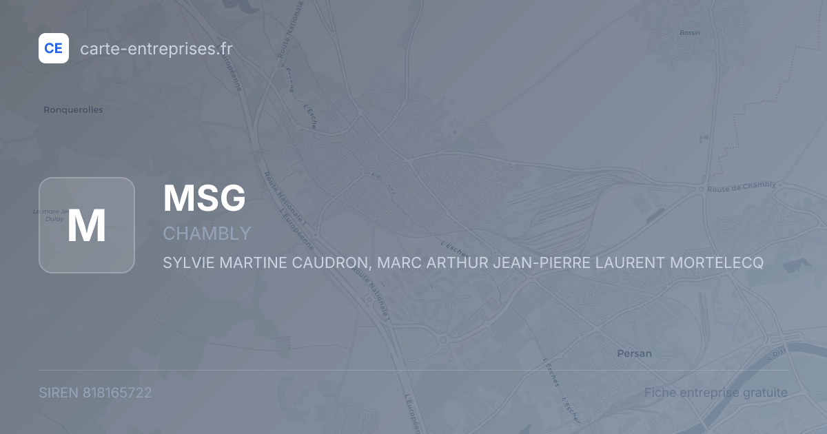 MSG — 818165722 — fiche entreprise