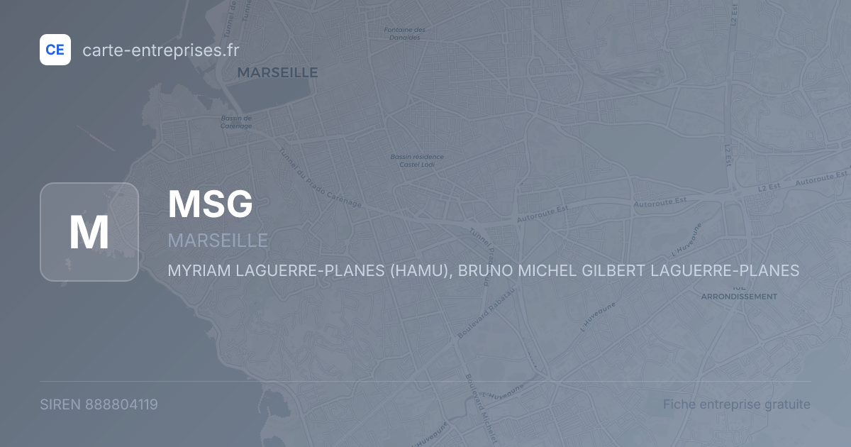 MSG — 888804119 — fiche entreprise