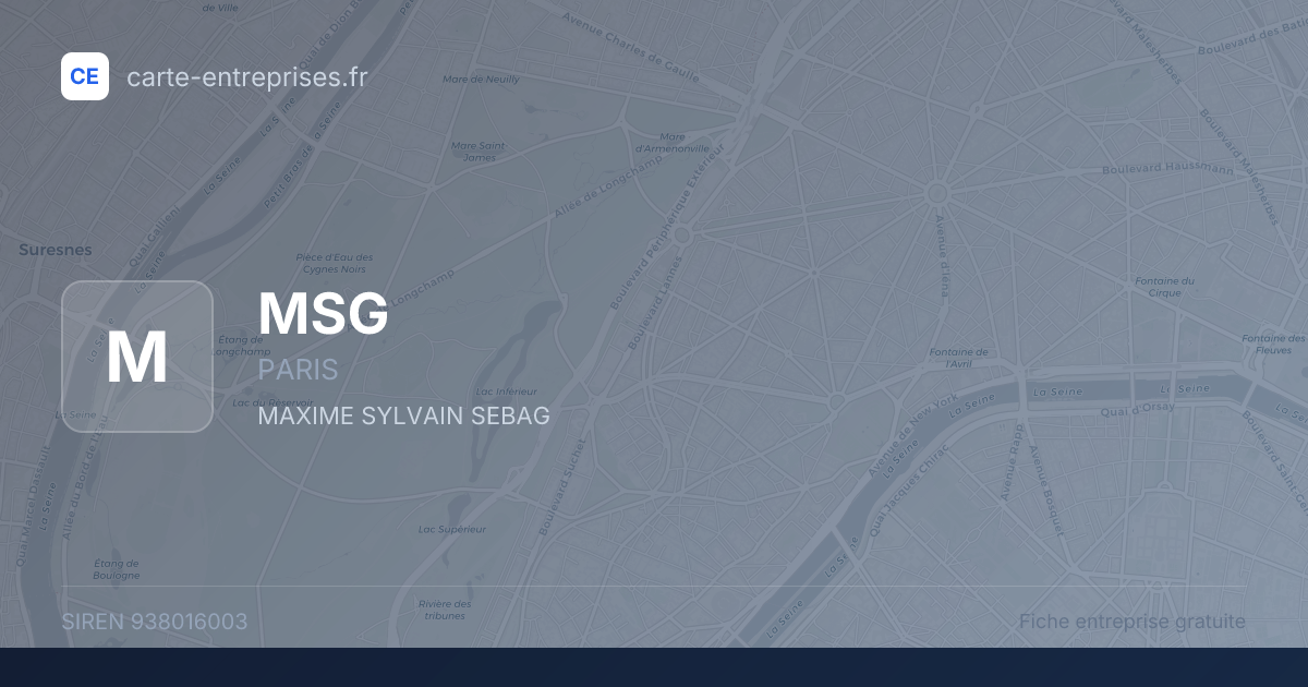 MSG — 938016003 — fiche entreprise