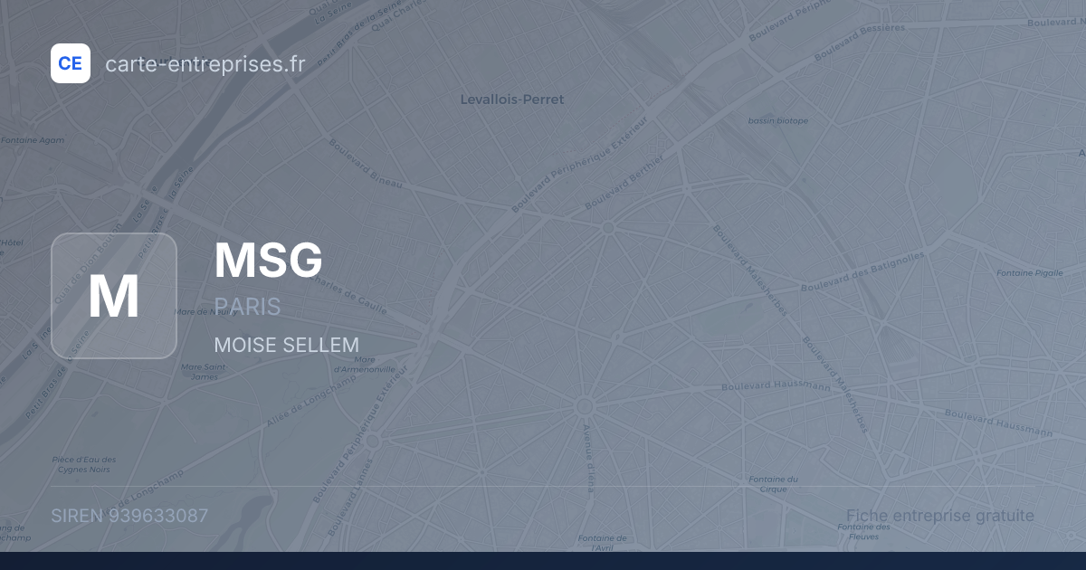 MSG — 939633087 — fiche entreprise