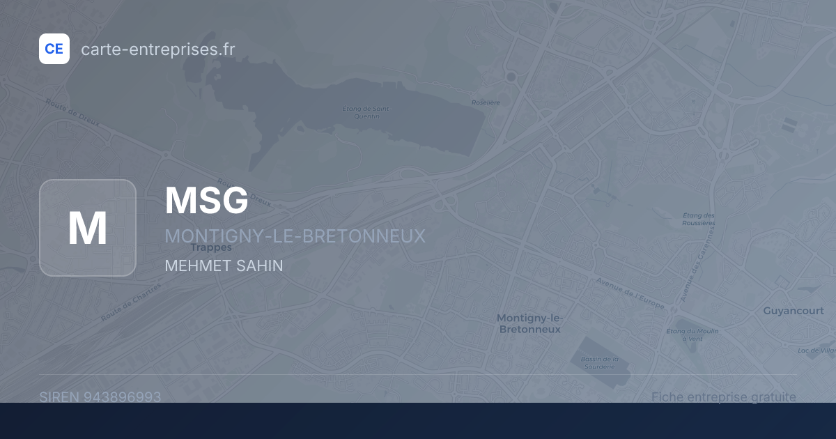 MSG — 943896993 — fiche entreprise