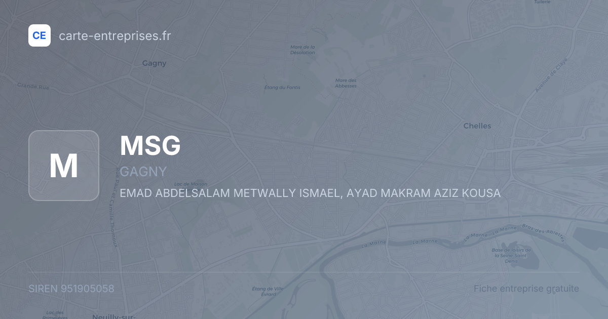 MSG — 951905058 — fiche entreprise