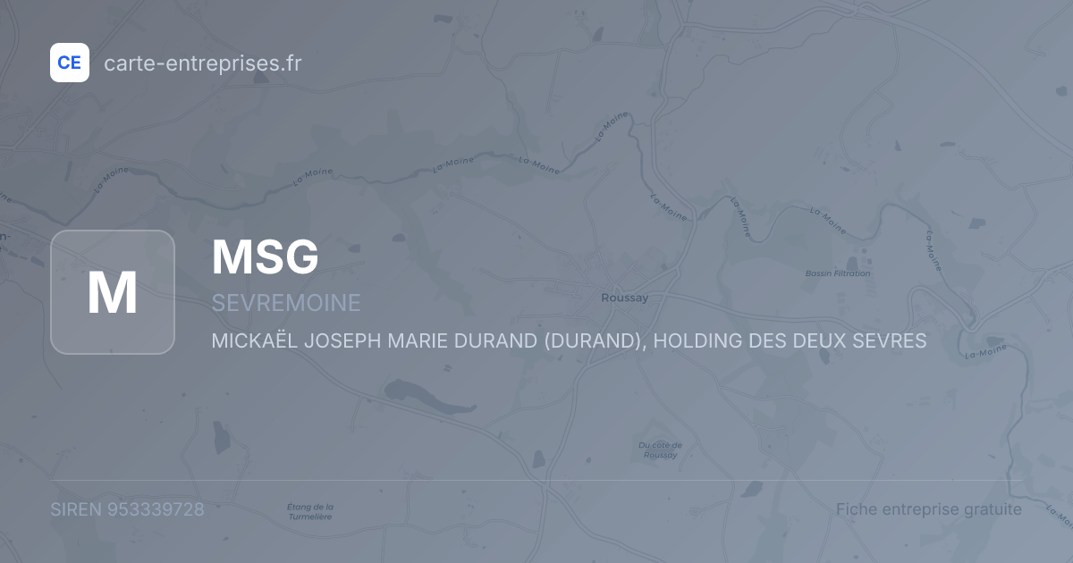 MSG — 953339728 — fiche entreprise