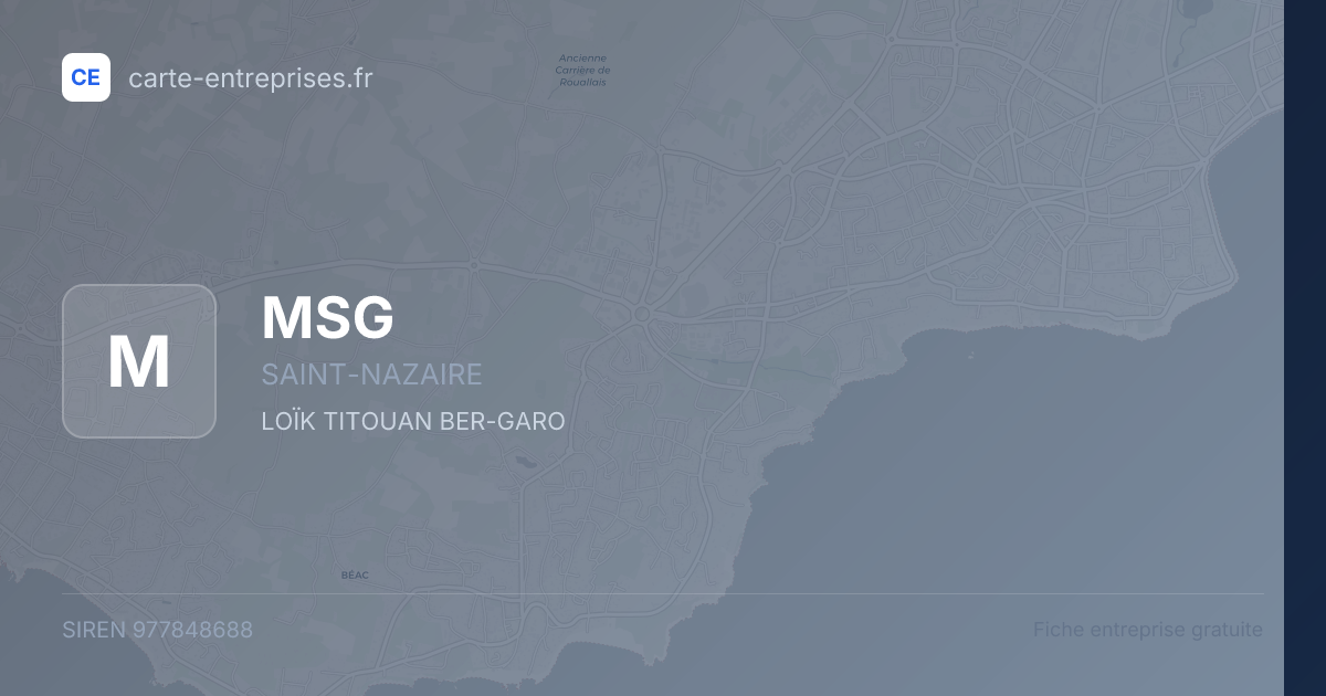 MSG — 977848688 — fiche entreprise