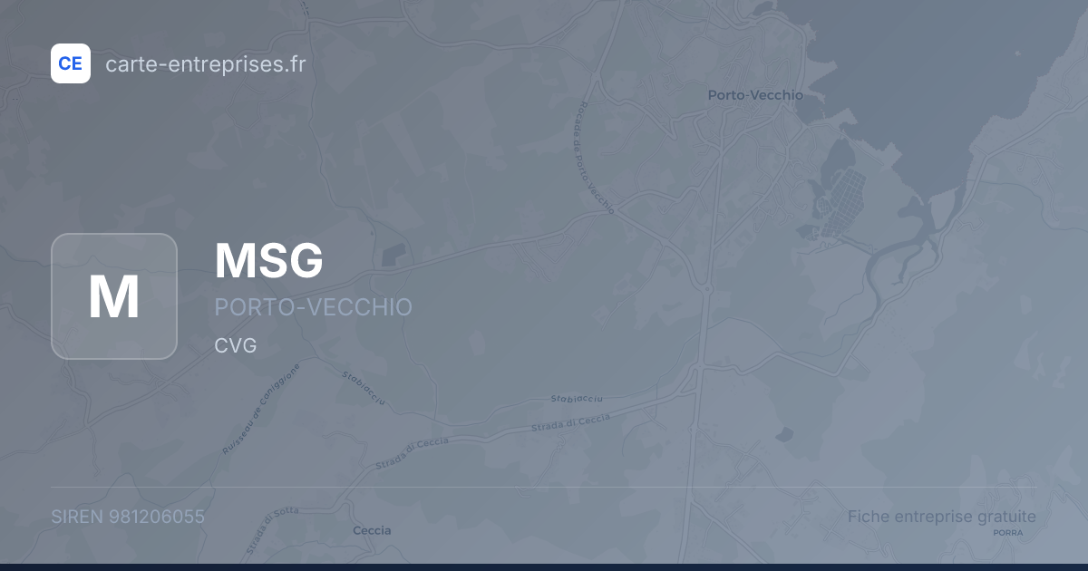 MSG — 981206055 — fiche entreprise