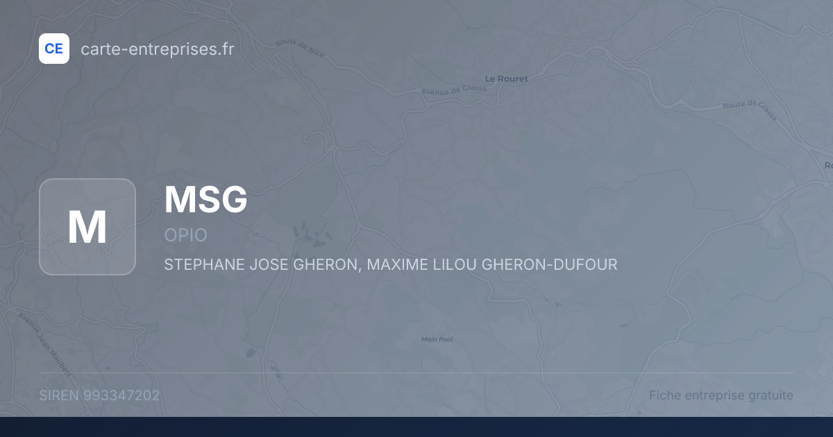 MSG — 993347202 — fiche entreprise