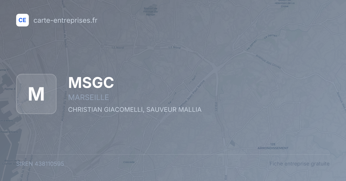 MSGC — 438110595 — fiche entreprise