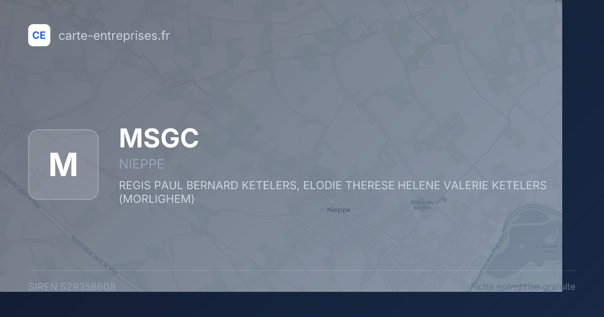 MSGC — 529358608 — fiche entreprise