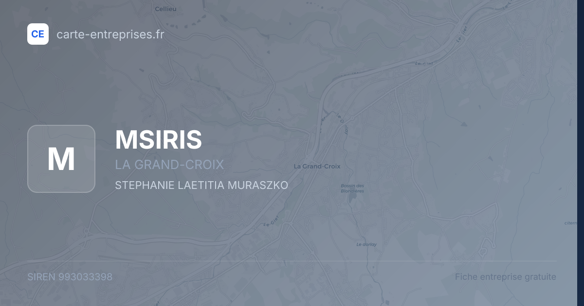 MSIRIS — 993033398 — fiche entreprise