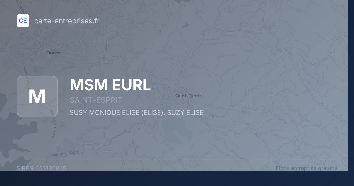 MSM EURL — 351335955 — fiche entreprise