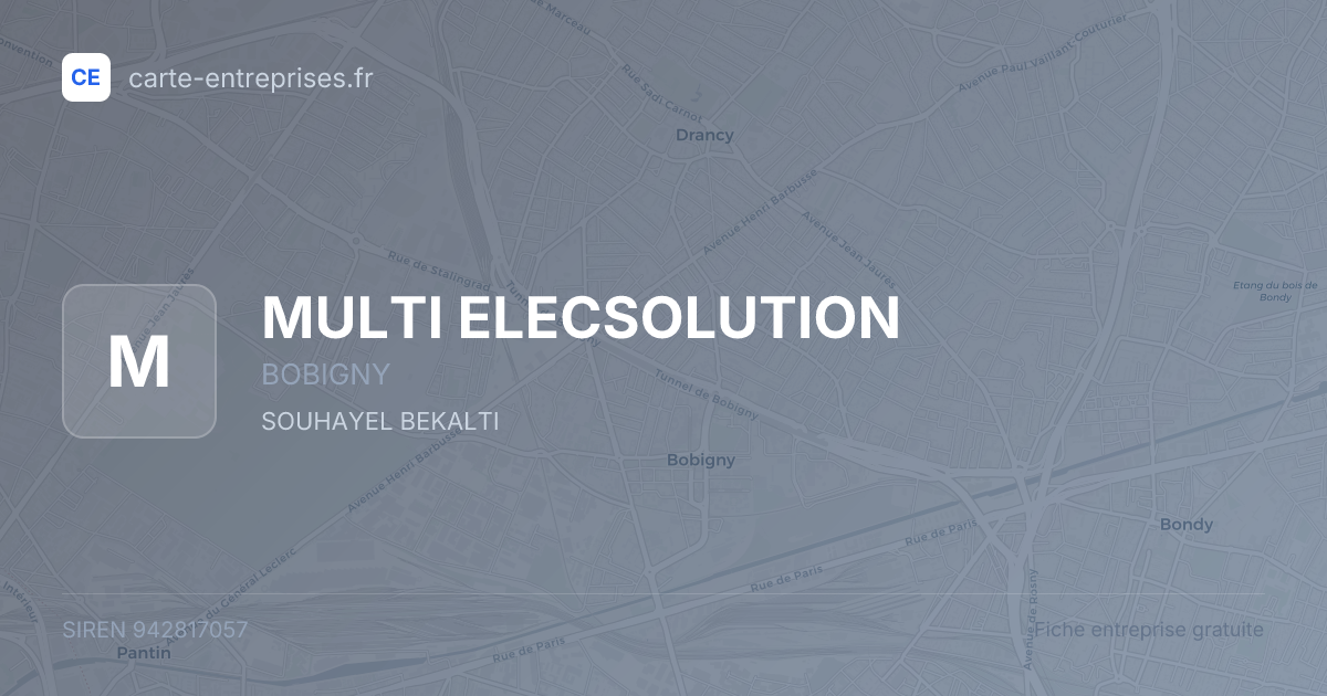 MULTI ELECSOLUTION — 942817057 — fiche entreprise