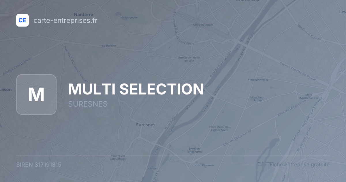 MULTI SELECTION — 317191815 — fiche entreprise