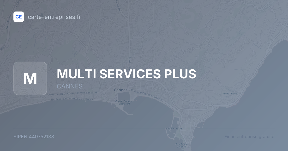 MULTI SERVICES PLUS — 449752138 — fiche entreprise