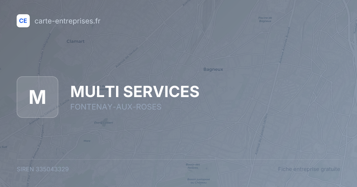 MULTI SERVICES — 335043329 — fiche entreprise