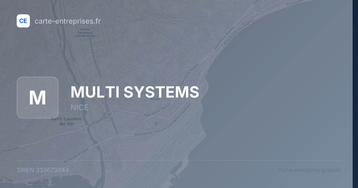 MULTI SYSTEMS — 333673044 — fiche entreprise