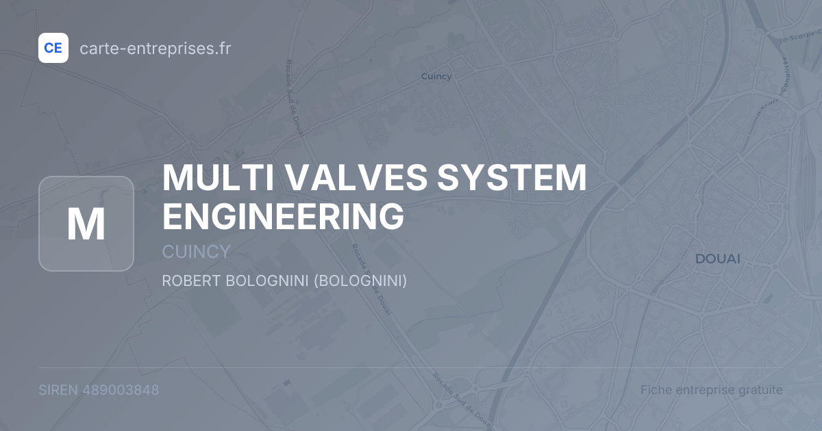 MULTI VALVES SYSTEM ENGINEERING — 489003848 — fiche entreprise