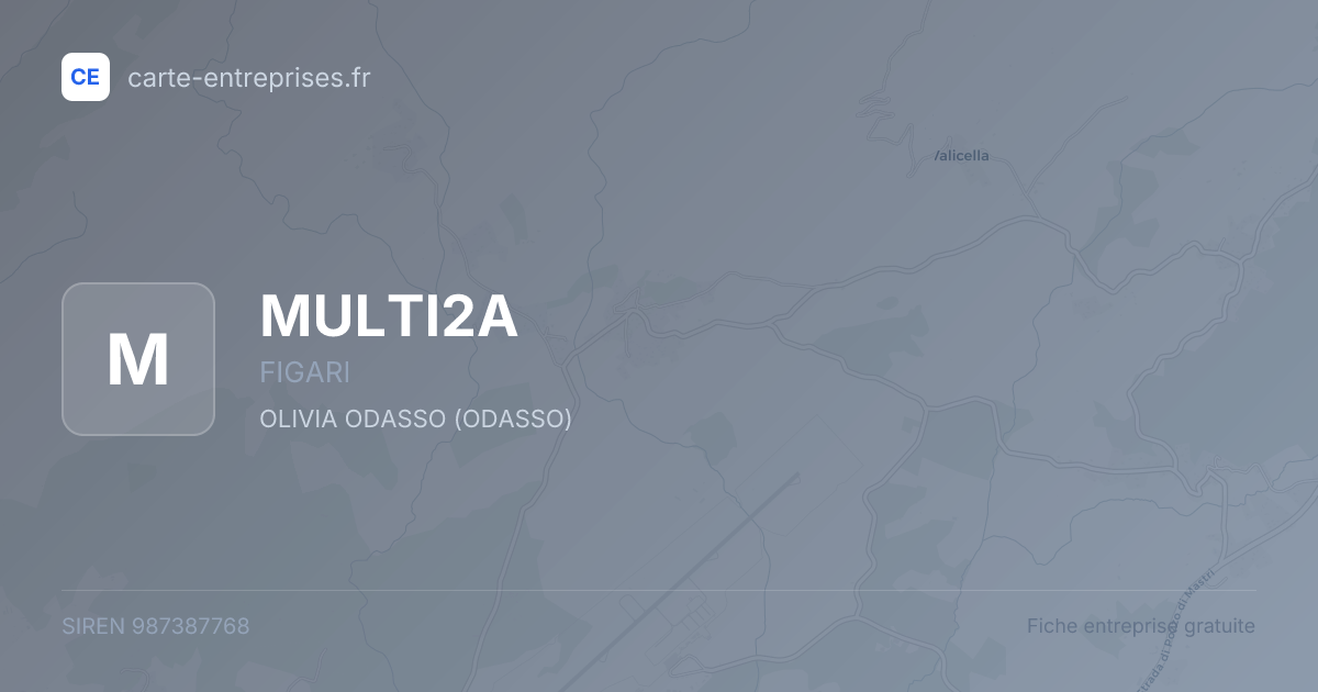 MULTI2A — 987387768 — fiche entreprise