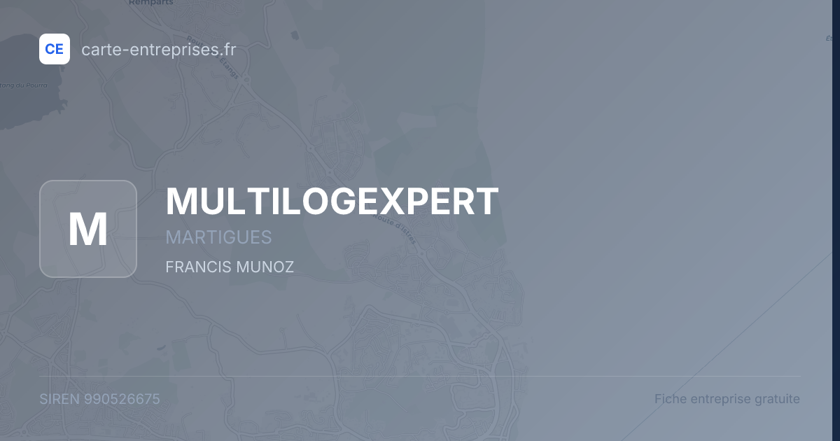 MULTILOGEXPERT — 990526675 — fiche entreprise